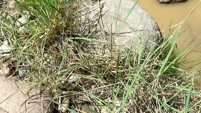 Люди не знали, что скрывает земля у них под ногами. Никто бы не поверил, а теперь! смотреть онлайн