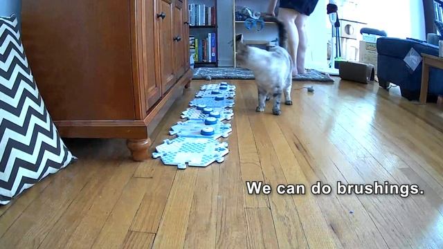 Hey, Come Over Here! смотреть онлайн