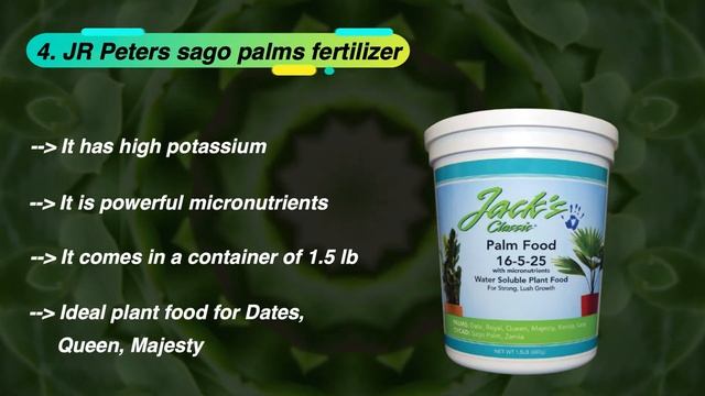 Best Fertilizer for Sago Palms | The Perfect Guide from Experts смотреть онлайн