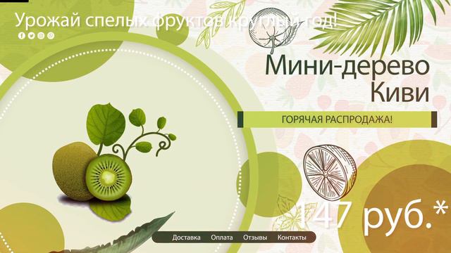 Где же купить лимонное дерево с доставкой смотреть онлайн