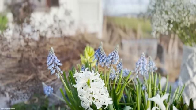 DIY - HAUSEINGANG von Weihnachten auf FRÜHLING UMDEKORIEREN 👍🏼🌸 смотреть онлайн