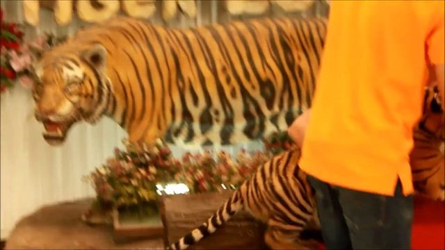 Тигровый зоопарк Сирача / Siracha Tiger Zoo (Тайланд) - 7