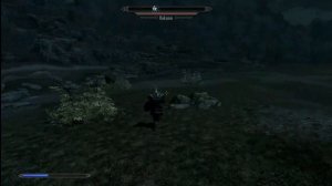 NEWBIE PLAY SKYRIM V