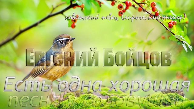 Евгений Бойцов - Есть одна хорошая песня у соловушки