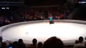Медведь ловит мяч. Ижевск. Цирк