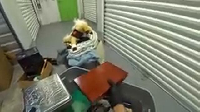 Все думали, это мусор, а мы получим с этого тысячи долларов. Повезло. смотреть онлайн