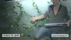 В Екатеринбурге живет семья крокодилов