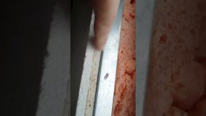 Стены как мы это делали, OSB и гвл.