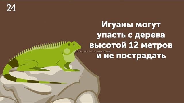 10 САМЫХ РЕДКИХ ЖЫВОТНЫХ