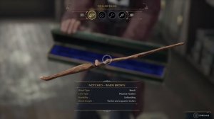 Everything You Need To Know About Wands in Hogwarts Legacy