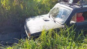 Нива на 31 резаных пятаках Я-192 по болоту