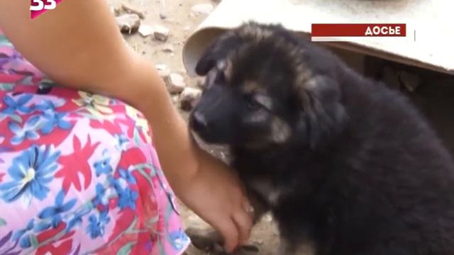 Темный город Ковров смотреть онлайн