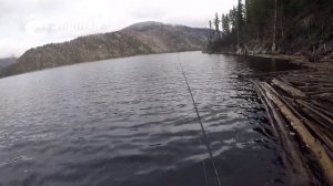 Рыбалка на Саяно-шушенском водохранилище. Осень 2018