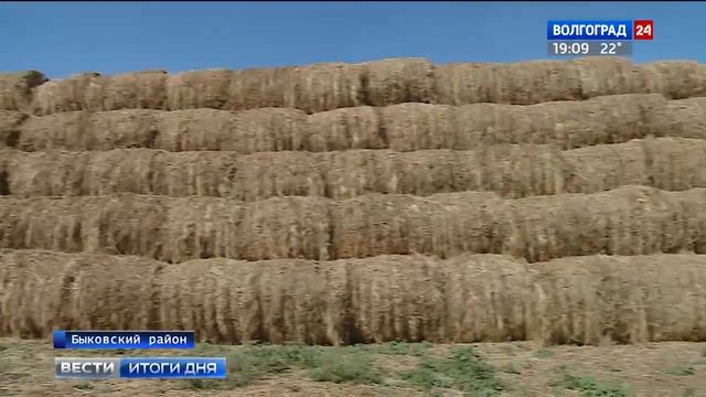 Фермеры Быковского района готовятся к зиме