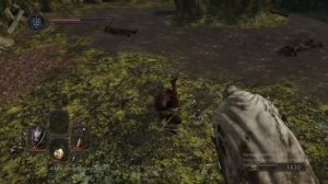 Dark Souls 2 Бой с рыцарем Хейда