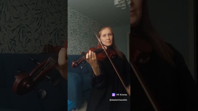 Леша Свик - ты так пьяна на скрипке #скрипачка #скрипка #кавер #cover #violin #music #shots #song смотреть онлайн