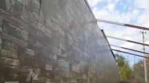 Как уничтожать мраморных клопов. Всем и СРОЧНО. Иначе урожая не будет ВООБЩЕ.