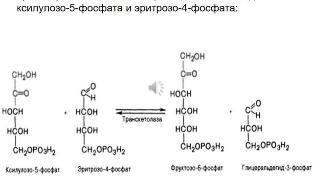 Лекция: Обмен углеводов часть 2. Цикл КОРИ смотреть онлайн