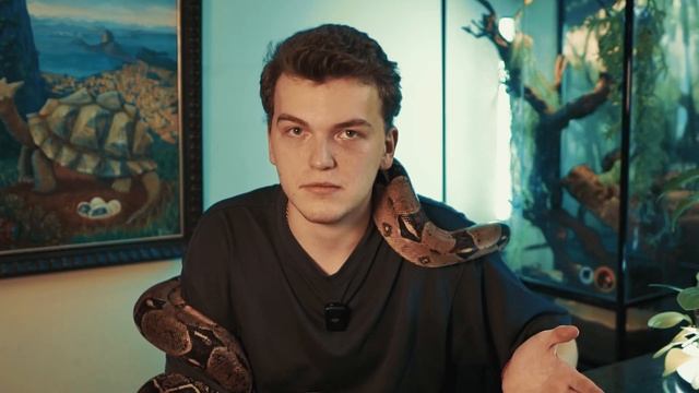 5 причин НИКОГДА НЕ заводить удава