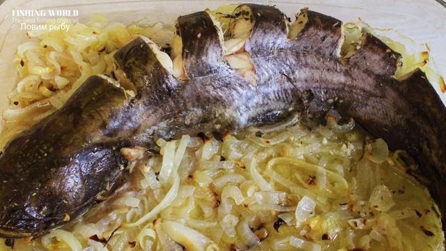 Почему этих речных рыб рыбаки ловят но не едят