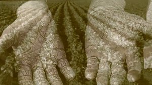 Стихотворение "Деревня".