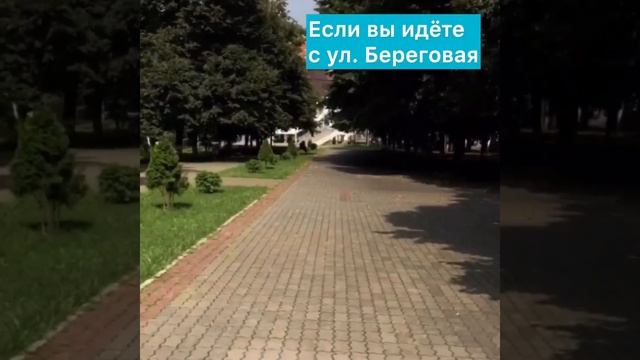 Как пройти пешком или доехать на общественном транспорте в клинику WMT? смотреть онлайн