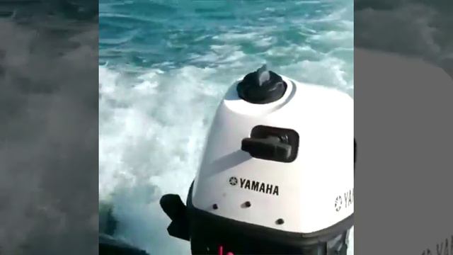 Выход в море на Каче на Ямахе 6 4т. смотреть онлайн