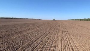 Сев озимой пшеницы Ростовская область