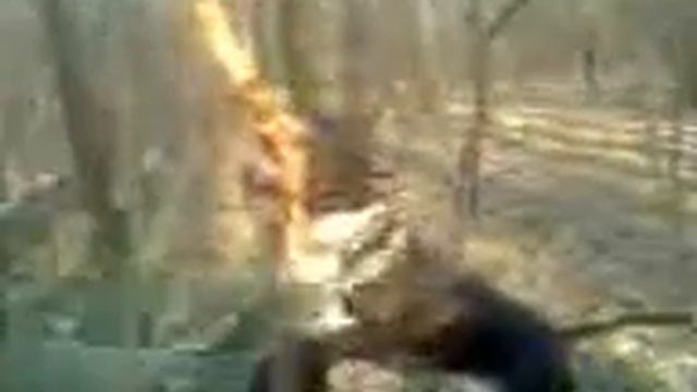 Рамир смотреть онлайн