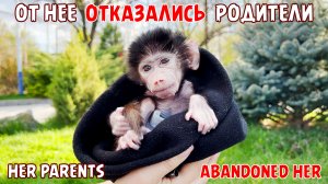 ИСТОРИЯ маленькой обезьянки ЛЮСИ!