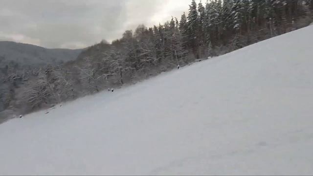 Белокуриха 1 Января смотреть онлайн