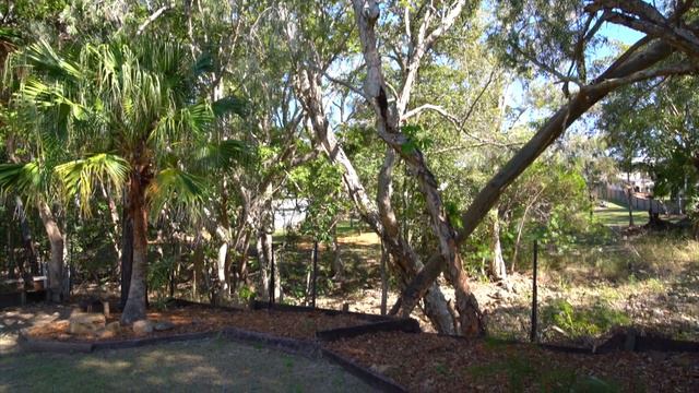 331 Mills Avenue смотреть онлайн