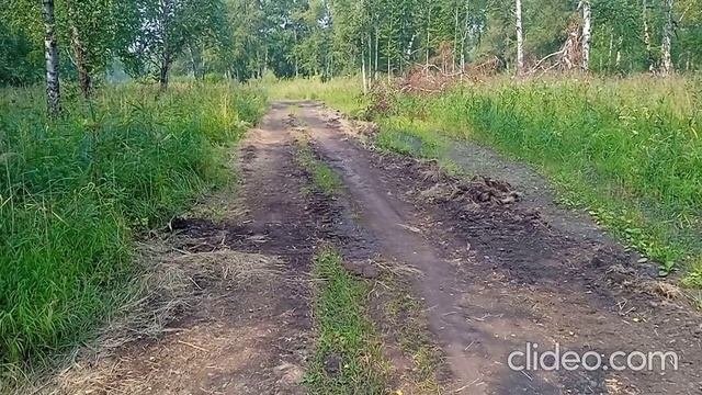 Как Человек меняет Природу