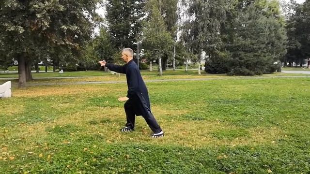 24-ая форма Тайцзицюань стиль Ян. Эдуард Гатальский. www.qishigroup.ru