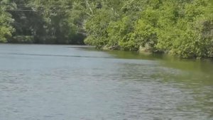 г Белая Калитва и р Калитва