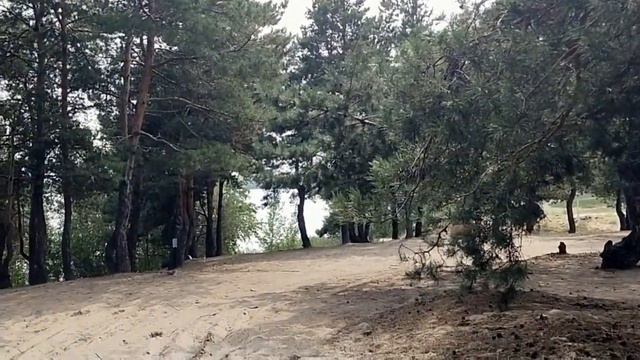 2023 август. Голубое озеро Камянского.