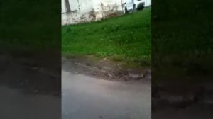 Прогулка по селу Писцово