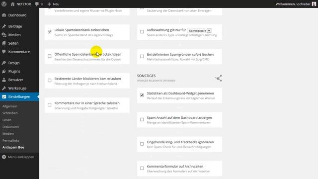 Spamschutz kostenlos und 100% effektiv für Ihren Wordpress Blog mit Antispam Bee Plugin смотреть онлайн