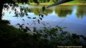 Боковой кивок на речке. Успенское. День больших рыб. Рыбак Андрей Николаев. Летняя мормышка. Голавл