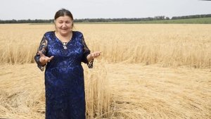 Назира Рустемова о Кругах на полях.