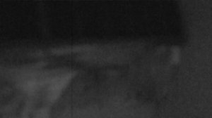 Заброшенный пионер лагерь "ВОСХОД"