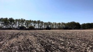 Озимая пшеница 2024. ЗАО «Кировский конный завод». Телеграмм _ Фугустим