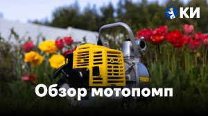 Мотопомпы: чем отличаются и как выбрать нужную