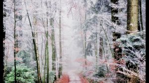 ❄️❄️❄️️️️Ноябрьское настроение и кавер версия на замечательную песню Ларисы Мондрус️️️❄️❄️❄️