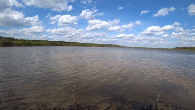 НА РАЗВЕДКУ ЗА МАЙСКИМ КАРАСЁМ! НЕ ОЖИДАЛИ ТАКОГО! РЫБАЛКА С ФИДЕРОМ! смотреть онлайн