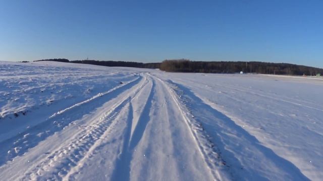 Дрозды зимой смотреть онлайн