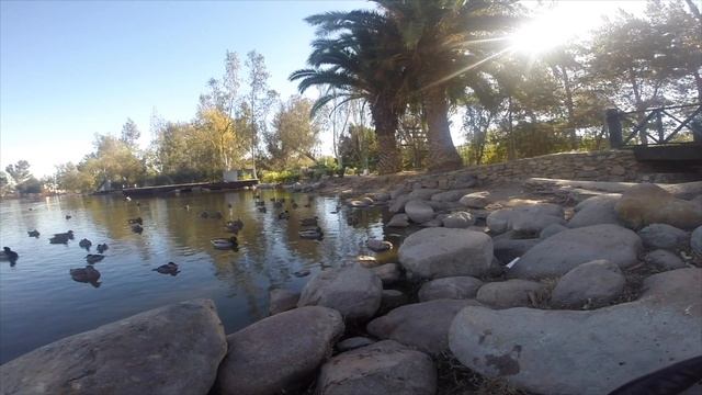 Ecosistema Mixto Parque de la Amistad смотреть онлайн