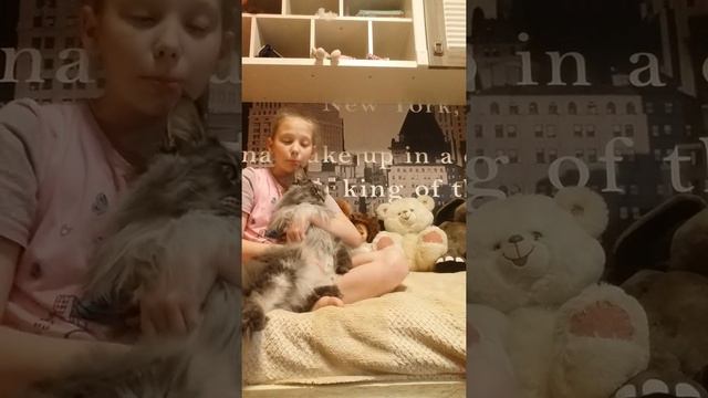 Котик Кеша||некоторые факты||nastyaaakot смотреть онлайн