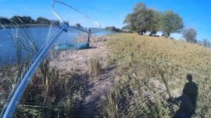 Рыбалка в Астрахани. Ловля Астраханского Сазана и Карася, На нижней ВОЛГЕ!!!