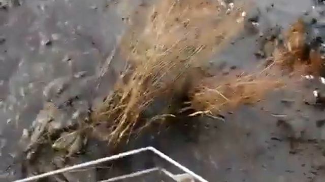 Работа экскаватора на морене
